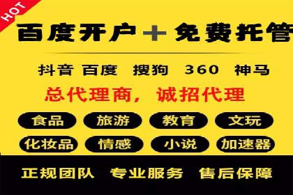 行业领先企业如何通过SEM推广代运营提升业绩